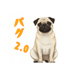 おしゃべりなパグ（個別スタンプ：1）