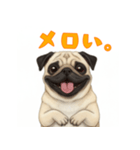 おしゃべりなパグ（個別スタンプ：6）