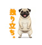 おしゃべりなパグ（個別スタンプ：7）