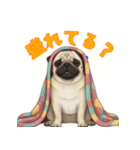 おしゃべりなパグ（個別スタンプ：8）