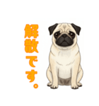 おしゃべりなパグ（個別スタンプ：9）