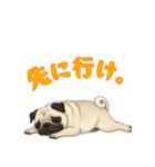 おしゃべりなパグ（個別スタンプ：14）