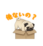 おしゃべりなパグ（個別スタンプ：16）