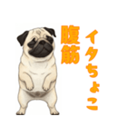 おしゃべりなパグ（個別スタンプ：17）