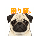 おしゃべりなパグ（個別スタンプ：19）