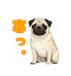 おしゃべりなパグ（個別スタンプ：23）
