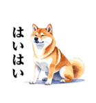とりあえず返信する柴犬【文字少なめ】（個別スタンプ：1）