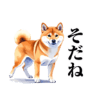 とりあえず返信する柴犬【文字少なめ】（個別スタンプ：3）