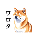 とりあえず返信する柴犬【文字少なめ】（個別スタンプ：4）