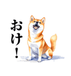 とりあえず返信する柴犬【文字少なめ】（個別スタンプ：7）