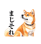 とりあえず返信する柴犬【文字少なめ】（個別スタンプ：8）