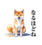 とりあえず返信する柴犬【文字少なめ】（個別スタンプ：9）