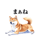 とりあえず返信する柴犬【文字少なめ】（個別スタンプ：10）