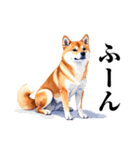 とりあえず返信する柴犬【文字少なめ】（個別スタンプ：11）