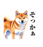 とりあえず返信する柴犬【文字少なめ】（個別スタンプ：12）
