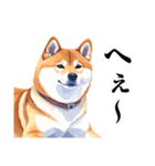 とりあえず返信する柴犬【文字少なめ】（個別スタンプ：14）