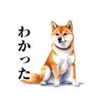 とりあえず返信する柴犬【文字少なめ】（個別スタンプ：15）