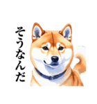 とりあえず返信する柴犬【文字少なめ】（個別スタンプ：16）