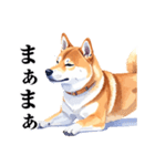 とりあえず返信する柴犬【文字少なめ】（個別スタンプ：17）