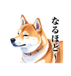とりあえず返信する柴犬【文字少なめ】（個別スタンプ：19）