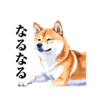 とりあえず返信する柴犬【文字少なめ】（個別スタンプ：20）
