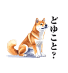 とりあえず返信する柴犬【文字少なめ】（個別スタンプ：22）