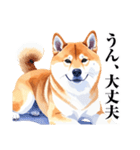 とりあえず返信する柴犬【文字少なめ】（個別スタンプ：23）