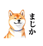 とりあえず返信する柴犬【文字少なめ】（個別スタンプ：24）