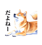 とりあえず返信する柴犬【文字少なめ】（個別スタンプ：25）