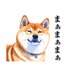 とりあえず返信する柴犬【文字少なめ】（個別スタンプ：27）