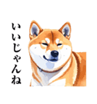 とりあえず返信する柴犬【文字少なめ】（個別スタンプ：31）