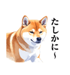 とりあえず返信する柴犬【文字少なめ】（個別スタンプ：33）