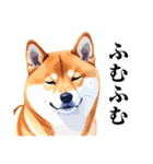 とりあえず返信する柴犬【文字少なめ】（個別スタンプ：34）