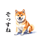 とりあえず返信する柴犬【文字少なめ】（個別スタンプ：36）
