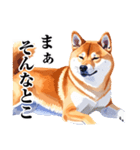 とりあえず返信する柴犬【文字少なめ】（個別スタンプ：37）