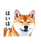 とりあえず返信する柴犬【文字少なめ】（個別スタンプ：40）