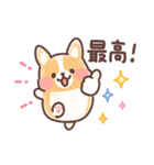 まるまるコーギー 褒めあいたい！（個別スタンプ：3）