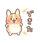 まるまるコーギー 褒めあいたい！（個別スタンプ：27）