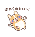 まるまるコーギー 褒めあいたい！（個別スタンプ：31）