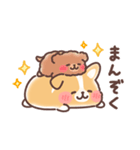 まるまるコーギー 褒めあいたい！（個別スタンプ：32）