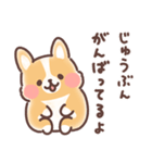 まるまるコーギー 褒めあいたい！（個別スタンプ：35）