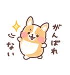 まるまるコーギー 褒めあいたい！（個別スタンプ：37）