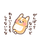 まるまるコーギー 褒めあいたい！（個別スタンプ：40）