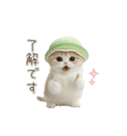 動く！スコティッシュ猫 かわいいメロン帽（個別スタンプ：7）