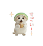 動く！スコティッシュ猫 かわいいメロン帽（個別スタンプ：9）