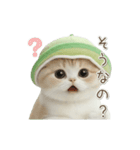 動く！スコティッシュ猫 かわいいメロン帽（個別スタンプ：11）