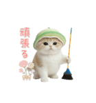 動く！スコティッシュ猫 かわいいメロン帽（個別スタンプ：14）