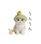 動く！スコティッシュ猫 かわいいメロン帽（個別スタンプ：20）