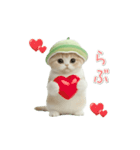 動く！スコティッシュ猫 かわいいメロン帽（個別スタンプ：21）