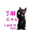 ネコだ！ It's a cat！（個別スタンプ：5）